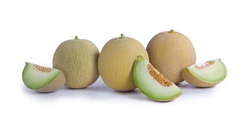 Melon fruit displaying its flesh and seed cavity.