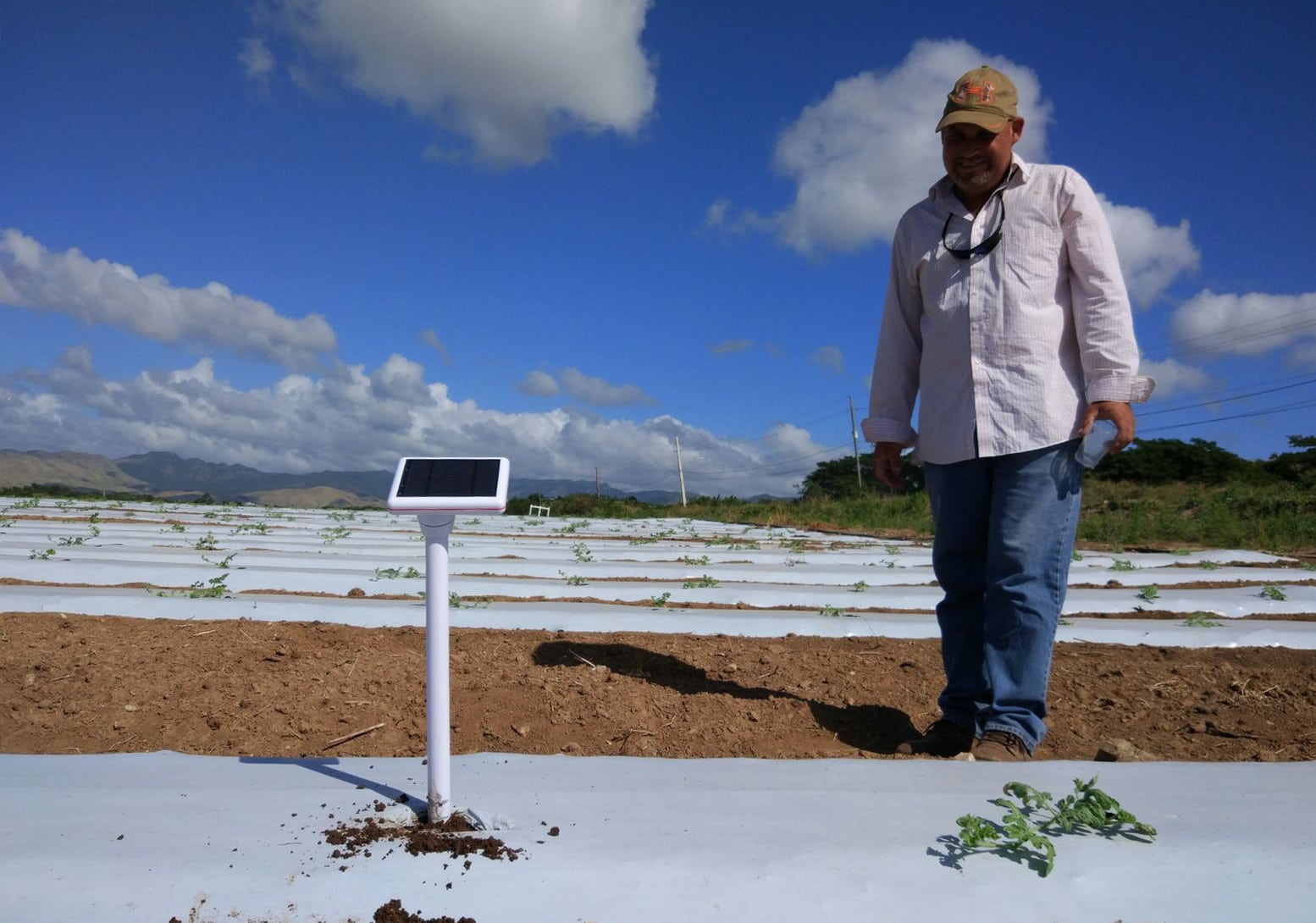 A grower beside a sensor in an irrigated field