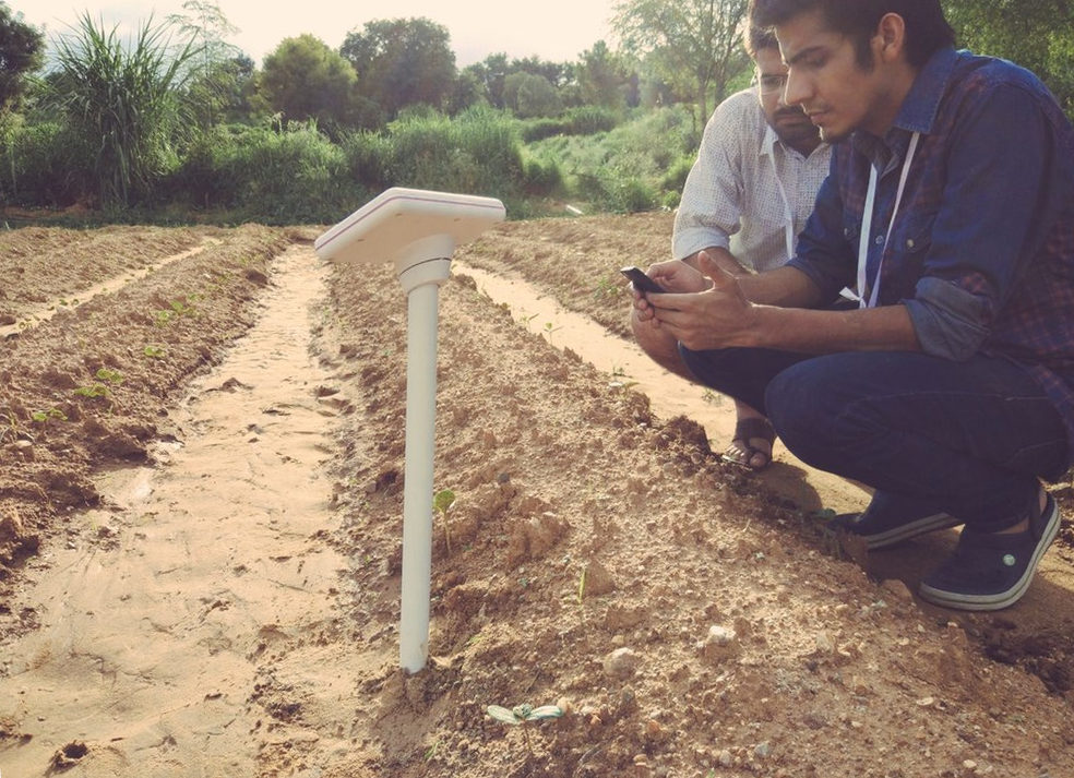 A person checking a field sensor using a phone